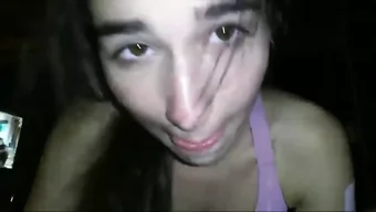 Seeksi Con...