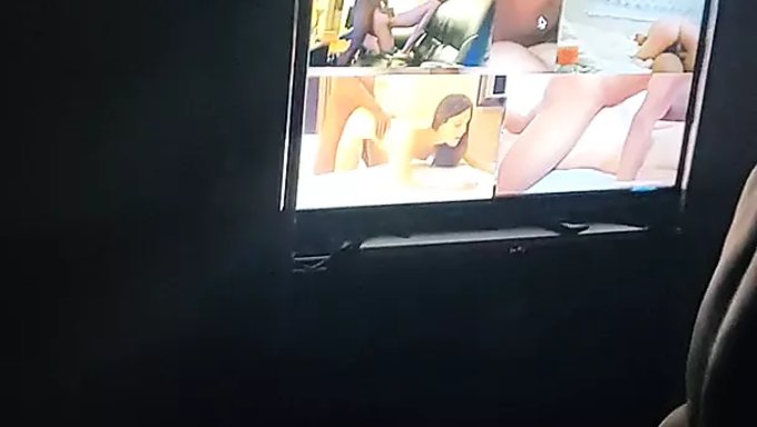 La Contribución De Mi Novia A La Especie
