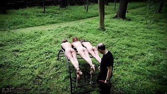 Bdsm Duro:...