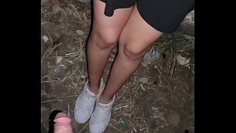 Novia More...
