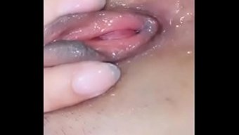 Mostrando ...