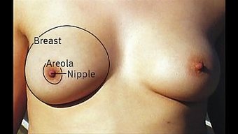 Tetas Pequ...