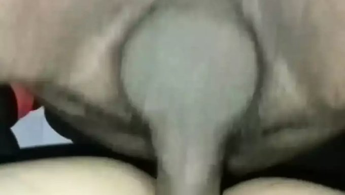 Mujeres Jóvenes Y Maduras En Un Culo Hardcore De Pie