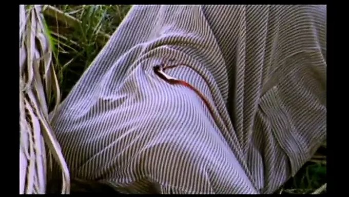 Porno Vintage Con Lina Romay Y Amber Newman