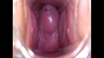 Mira Dentr...