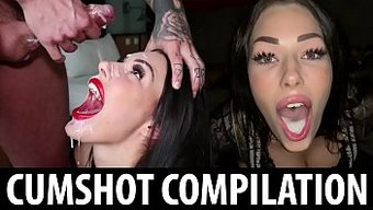 Compilació...