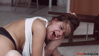 Sorpresa D...